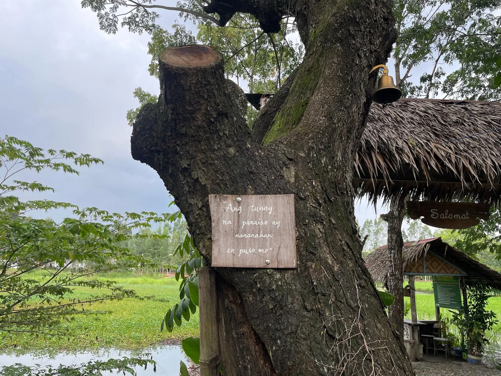 Wooden sign fixed to a tree beside fields at Pulong Kabyawan