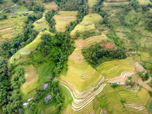 Banaue’s Terraces and Highland Horizons