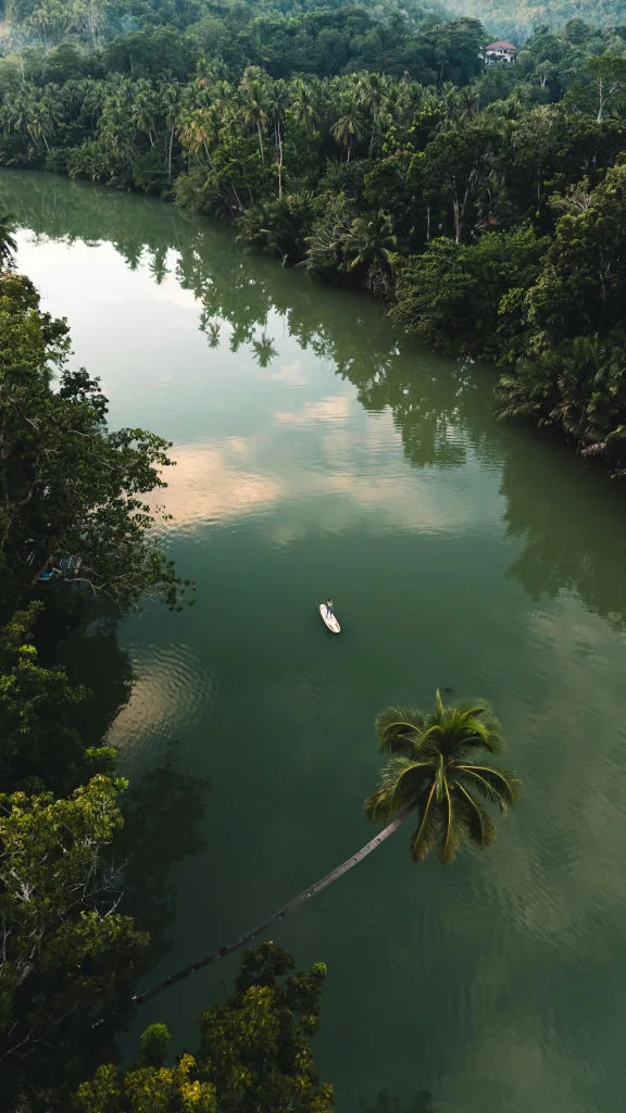 Golden hour river scene in Bohol coastal escapes