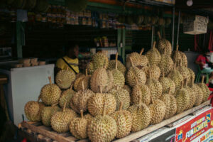 Davao travel guide - Durian