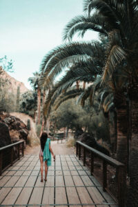 solo travel Philippines – traveler walking alone along a palm-lined road