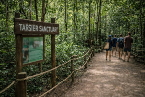 Bohol countryside travel guide image of a tarsier sanctuary path with quiet-visit signage