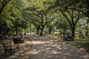 free things to do in puerto princesa shaded city park seating area for a rest break