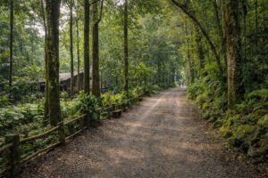 Calm Upland Davao day with nature and slower pacing in a Davao City itinerary 4 days