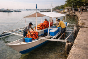 Day Trips From Mactan island hopping logistics at a Mactan wharf
