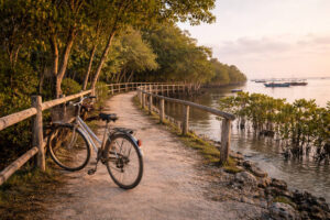 Day Trips From Mactan to Olango Island for a slow-paced day