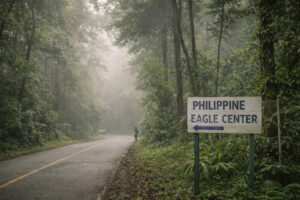 Forested upland stop for a Davao City itinerary 3 days