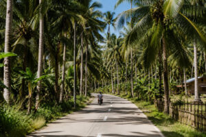 Boracay vs Siargao guide showing a coconut-lined road in Siargao near General Luna