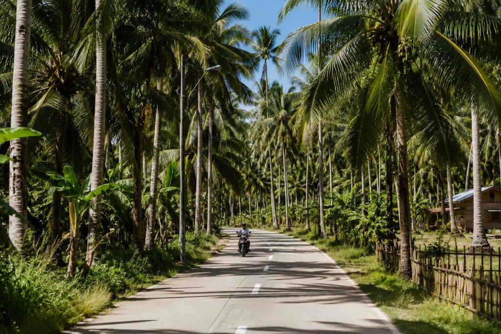 Boracay vs Siargao guide showing a coconut-lined road in Siargao near General Luna