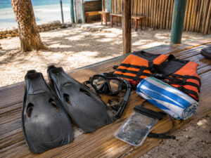 Snorkel gear and life vest related to the oslob whale shark watching entrance fee