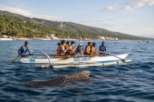Visitors watching from a small boat during Oslob whale shark watching