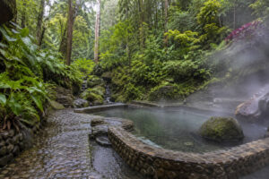 Mambukal nature and hot springs day trips from Bacolod