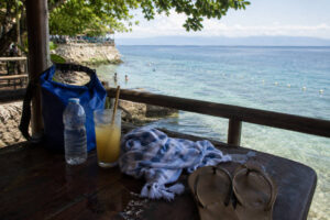 Morning of the Moalboal Sardine Run in Moalboal