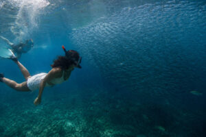 Moalboal sardine run as an easy marine activity near Panagsama Beach.