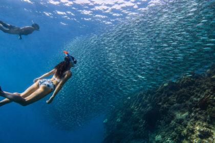 Alt Text: Snorkelers watching the Moalboal Sardine Run near Panagsama Beach in Cebu