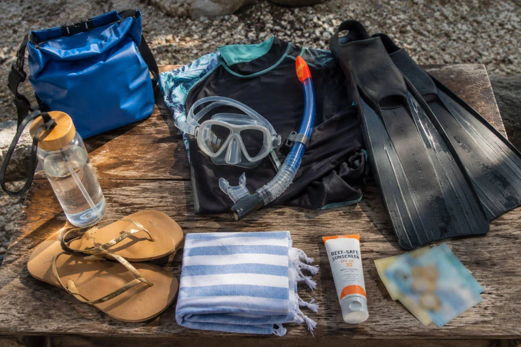 Simple gear checklist for a Moalboal Sardine Run snorkel day