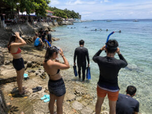 Low-cost snorkeling and sardine run planning for a Moalboal travel budget